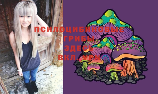 PSILOCYBIN Алексеевка