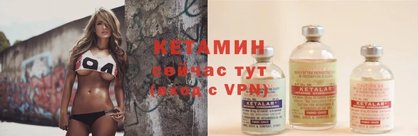 амф Алексин