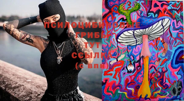 PSILOCYBIN Алексеевка