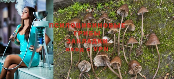 PSILOCYBIN Алексеевка