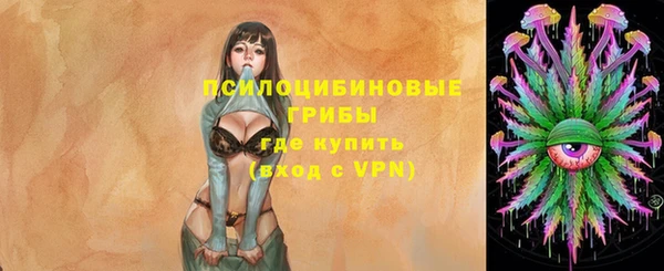 амф Алексин