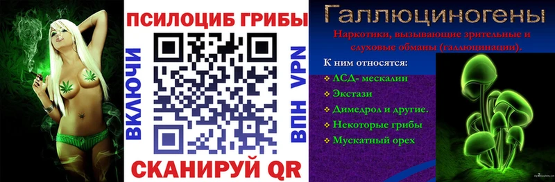 Псилоцибиновые грибы MAGIC MUSHROOMS  где можно купить   Черемхово 